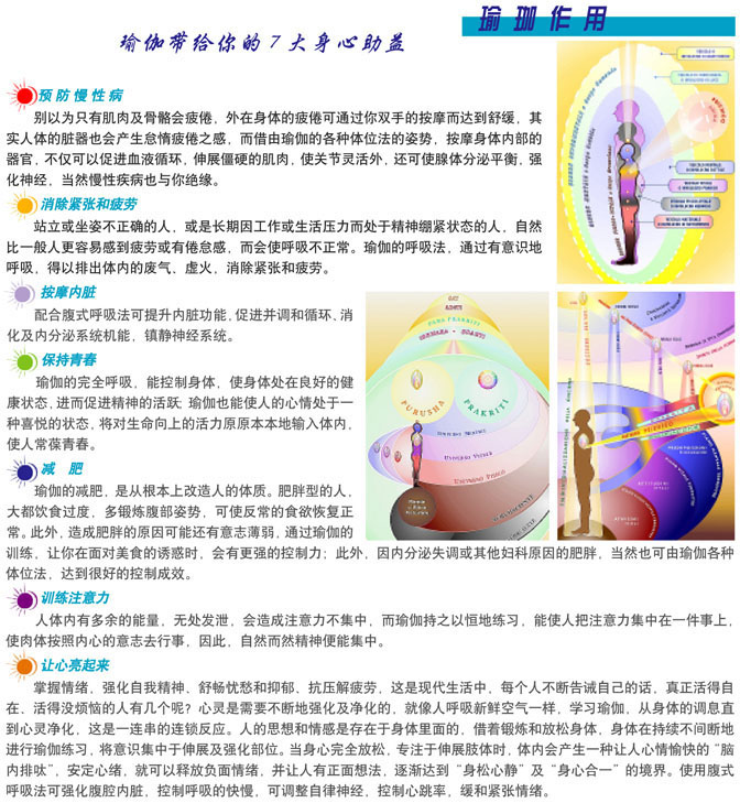 瑜伽视频教程高清 初级入门自学减肥瘦身课程-AT互联