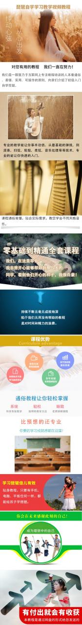 琵琶自学视频教程 学习琵琶弹奏教程 教学初级入门-AT互联