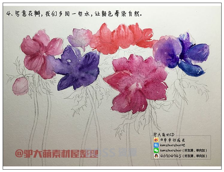 唯美水彩画水溶彩铅花草花卉手绘插画素材 驴大萌教程步骤-AT互联