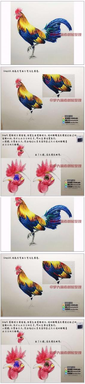 驴大萌彩铅教程 古风动物鸡本命年手绘素材线稿插画3幅-AT互联