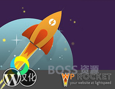 【持续更新】WP Rocket v3.8免授权|破解版|汉化版 WordPress火箭缓存插件插图