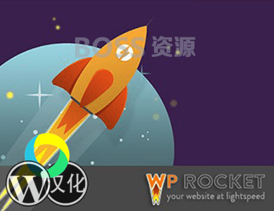 WordPress火箭缓存插件WP Rocket v3.7免授权|破解版|汉化版插图